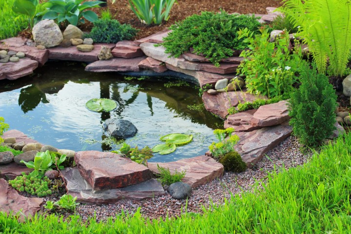 PremPlan - Landscape & Garden Design (Garden Pond)